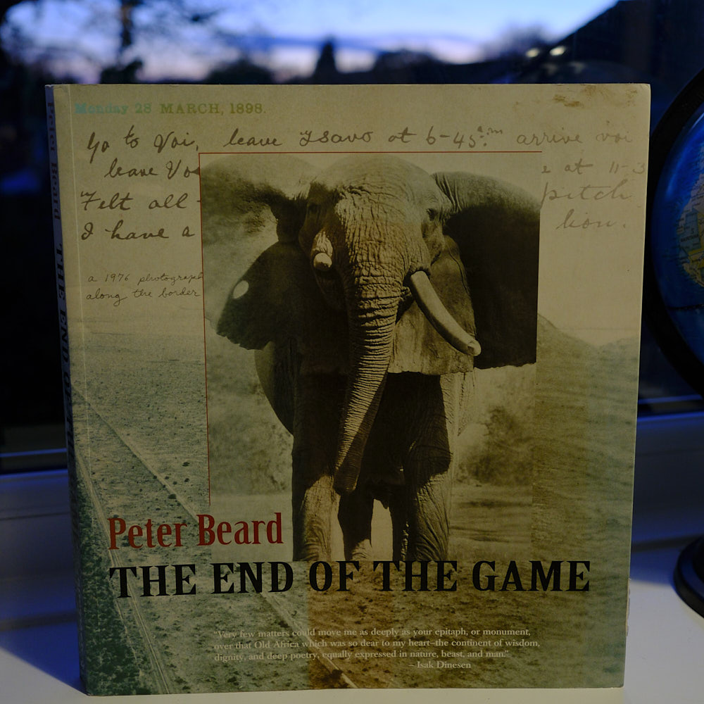 The End of the Game